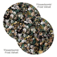 Flowerbomb Cushion Duo